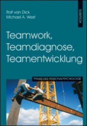 Teamwork, Teamdiagnose, Teamentwicklung